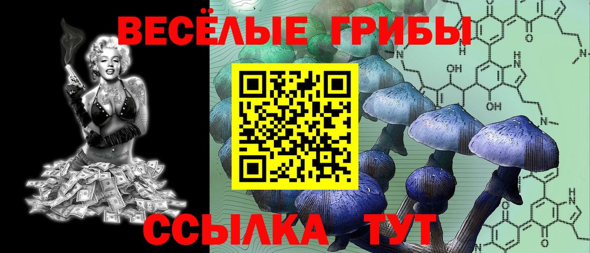 Псилоцибиновые грибы мухоморы Кудрово